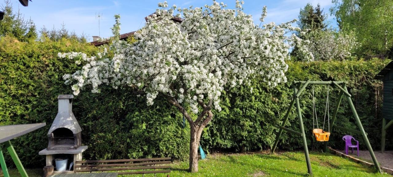Cudodomek Na Mazurach W Woszczelach Kolo Elku エクステリア 写真